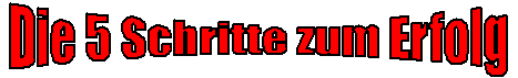 5 Schritte zu Erfolg