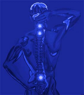 Willkommen im Biomechanischen Analysecentrum