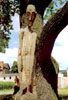 Thomas Kretschmer: O.T. 1999