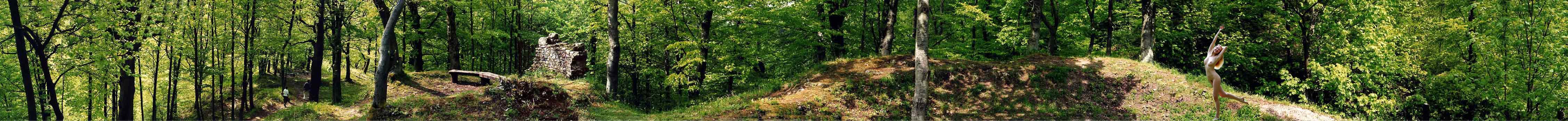 Habichtsburg mit Waldfee